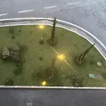 L'albero Della *