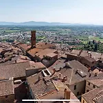 L'albero Della * Sinalunga