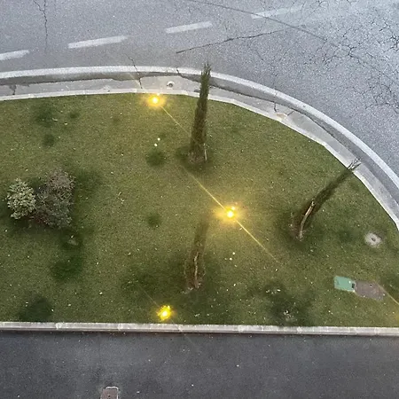 L'albero Della *