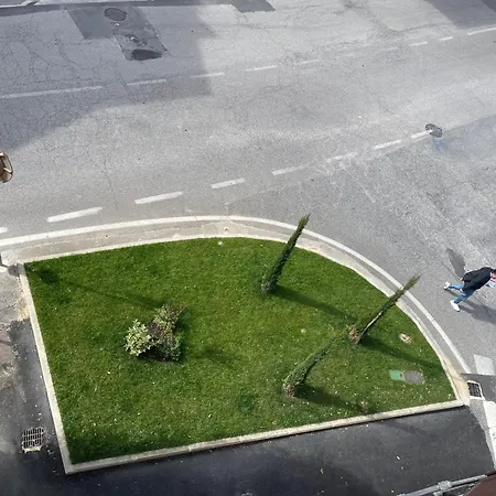 L'albero Della
