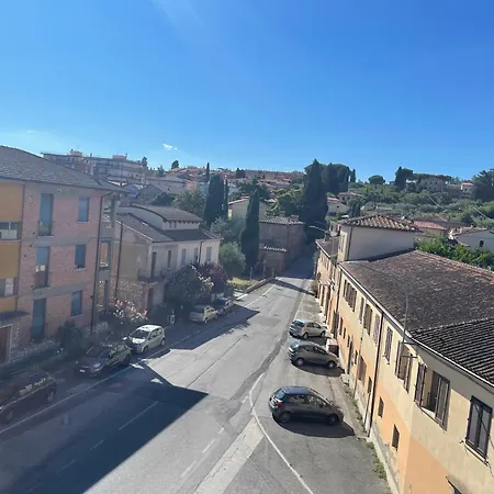 L'albero Della * Sinalunga