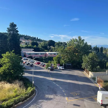 L'albero Della Sinalunga