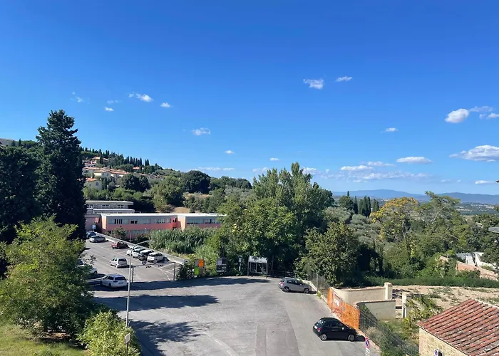 L'albero Della Sinalunga